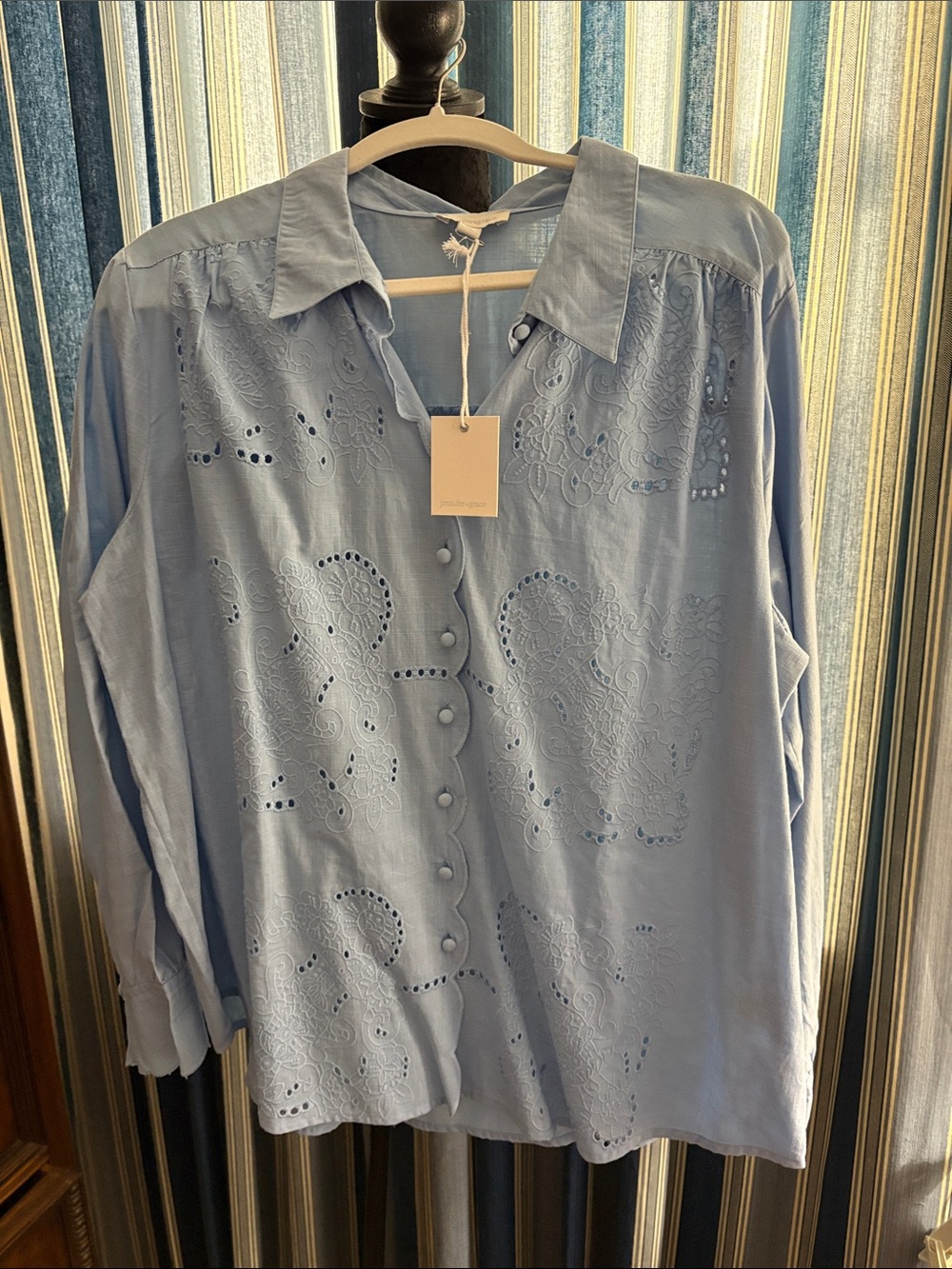 Light Blue Embroidered Button-Front Shirt